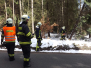 Tp-strom-stechov 2015