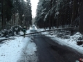 DSCF6737.JPG