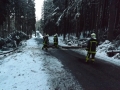 DSCF6745.JPG